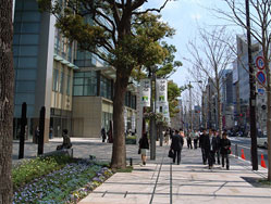 外苑東通り沿道の景観