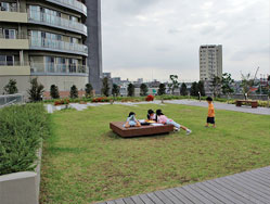 住宅棟の屋上庭園